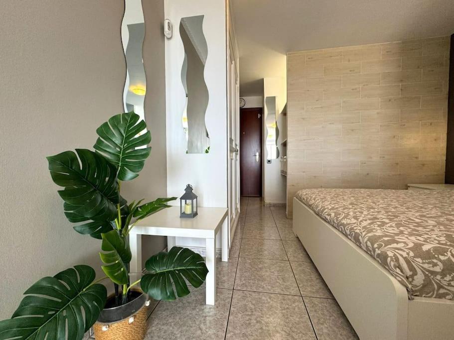 Palm Garden Apartment Morro Jable Zewnętrze zdjęcie