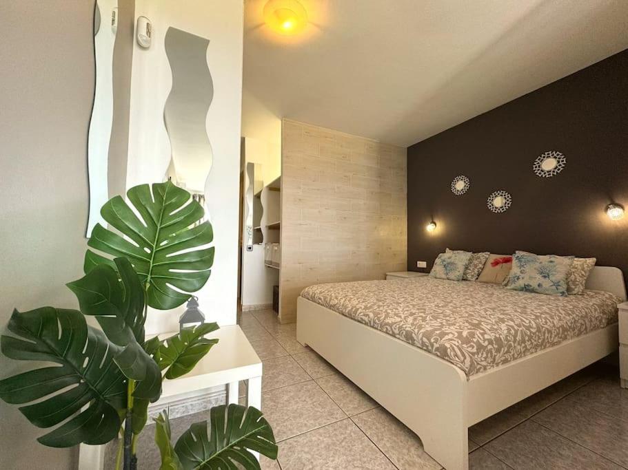 Palm Garden Apartment Morro Jable Zewnętrze zdjęcie